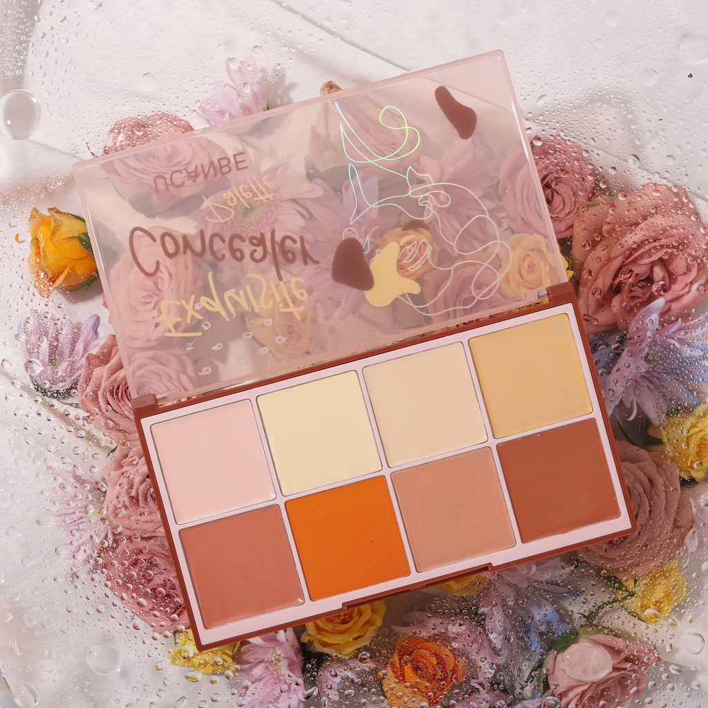 UCANBE Exquisite Concealer palette