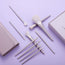 Eigshow Beauty Full MORANDI SERIES -10 PCS READY TO ROLL BRUSH SET-  LILAC
