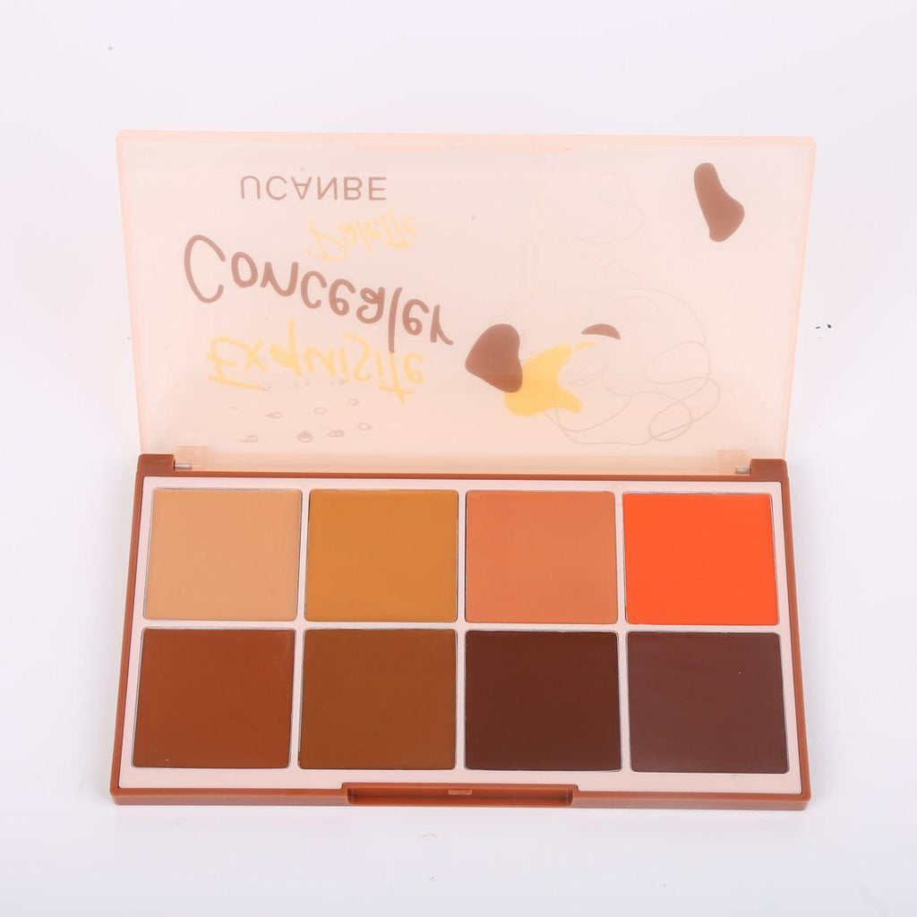 UCANBE Exquisite Concealer palette