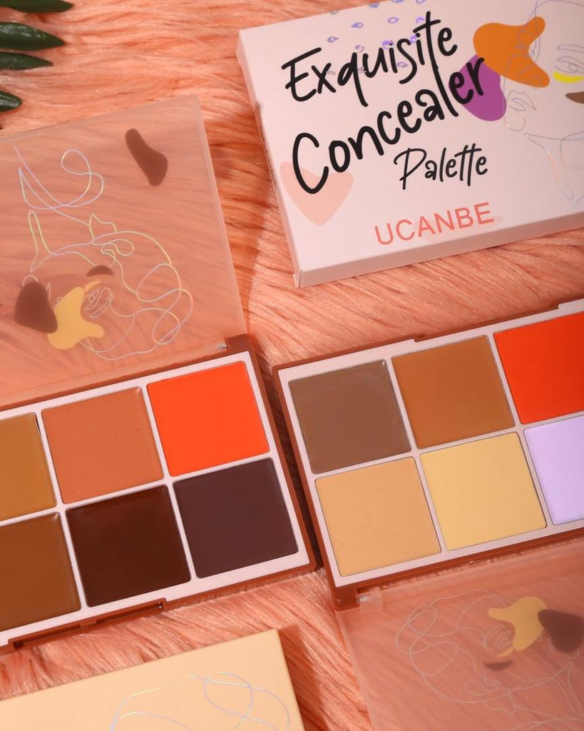 UCANBE Exquisite Concealer palette