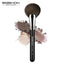 F649 FAN BRUSH FOR FACE MAKEUP