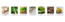 ARTMISS Dual-Ferment Radiance Set