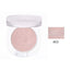 Artmiss Glitter Mud Highlighter