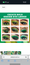 Ucanbe Green Forest Eyeshadow Makeup Palette