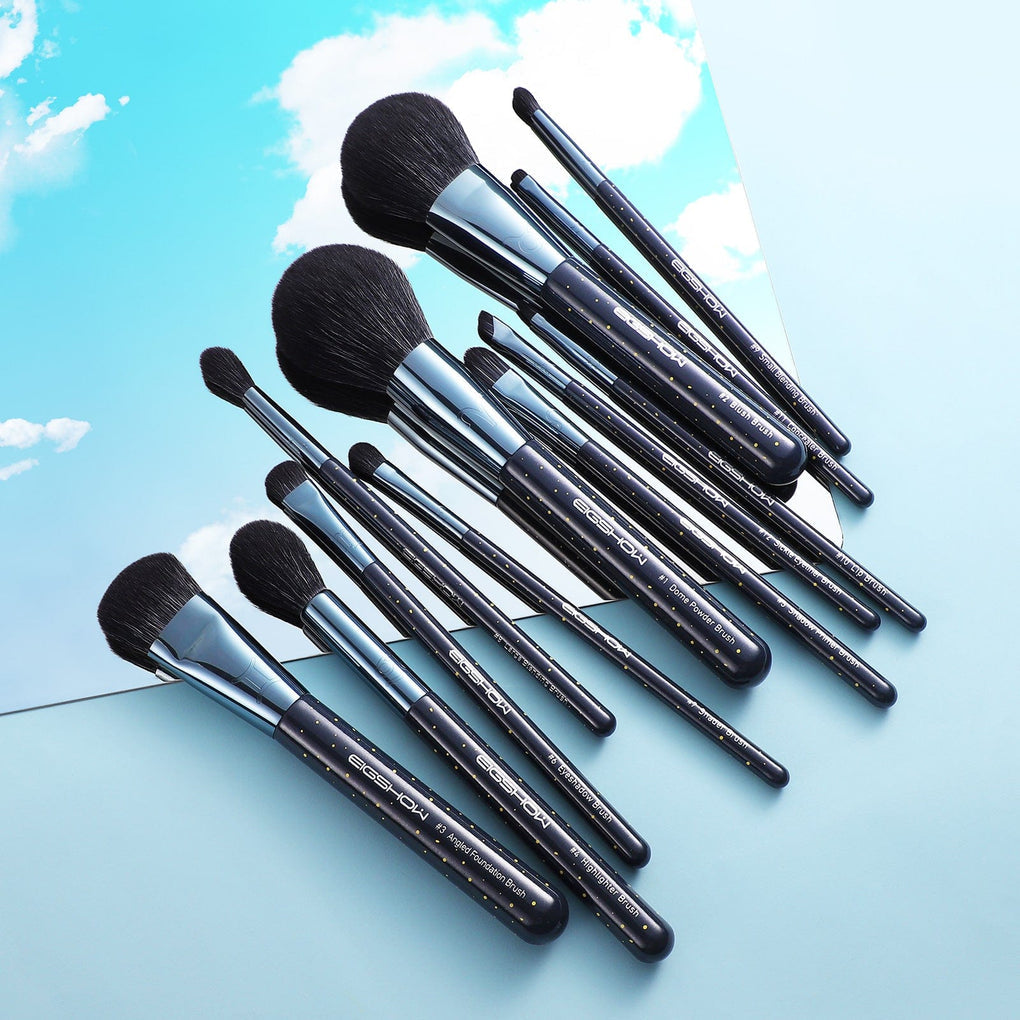 ZODIAC SERIES - 12 PCS PROFESSIONAL MAKEUP BRUSH KIT