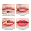 IMAGIC 8 colors Matte lipstick PALETTE lip
